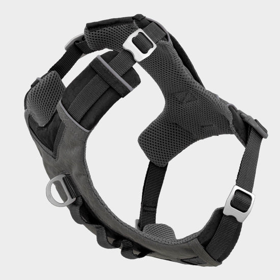 Journey Air Dog Harness