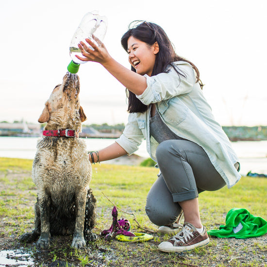 Dog Travel Shower