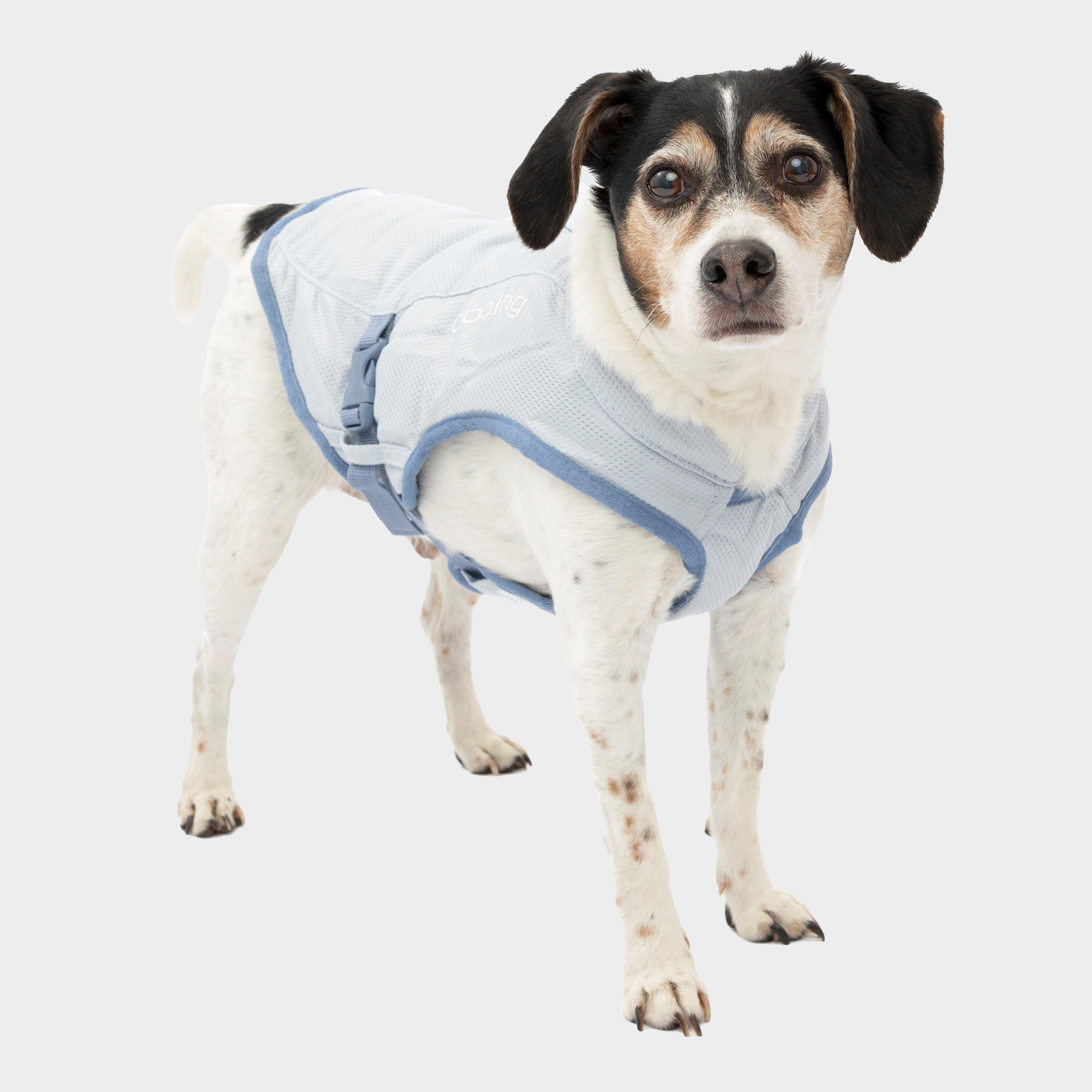 Dog Core Cooling Vest