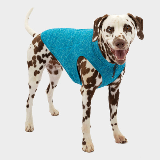 Core Dog Sweater