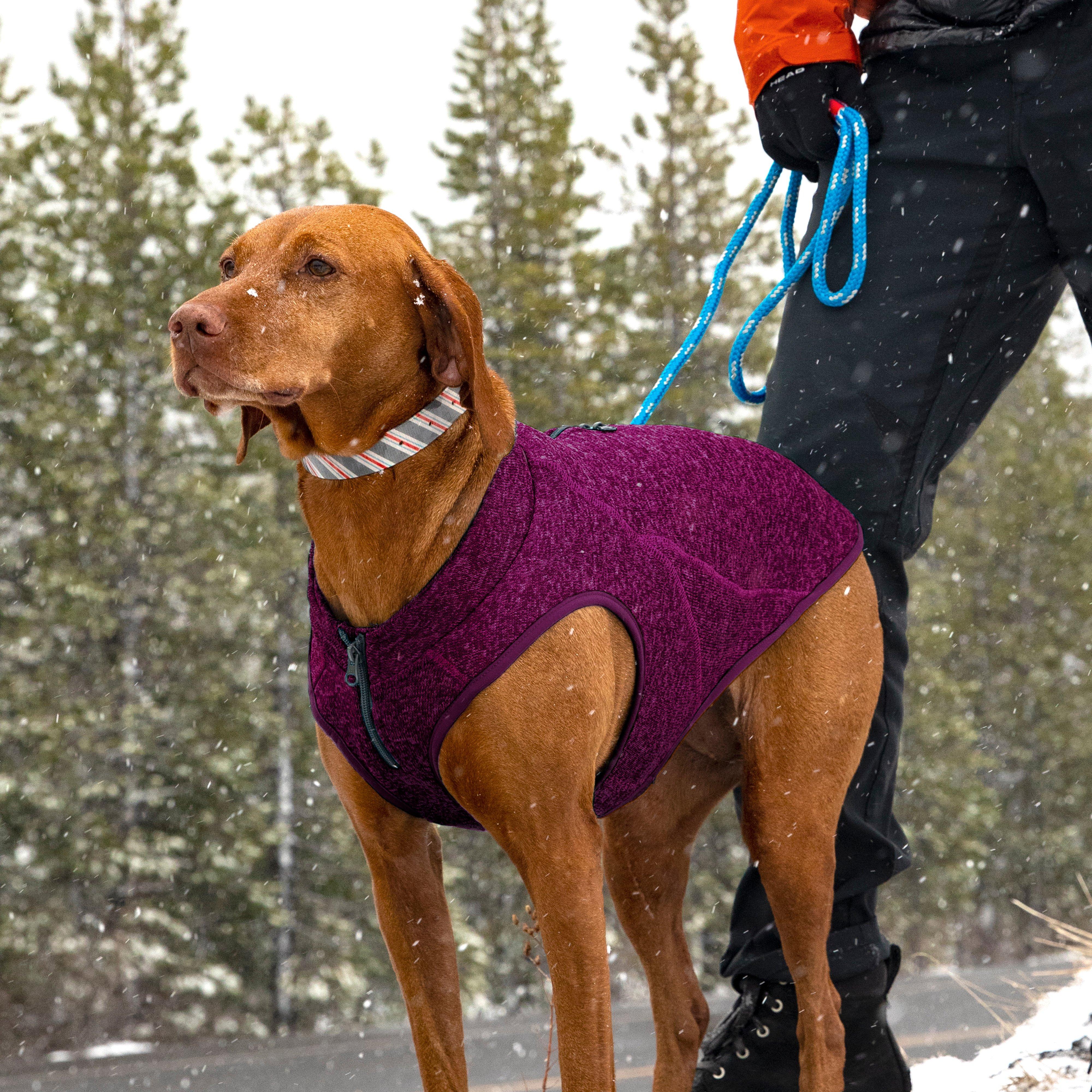 Core Dog Sweater