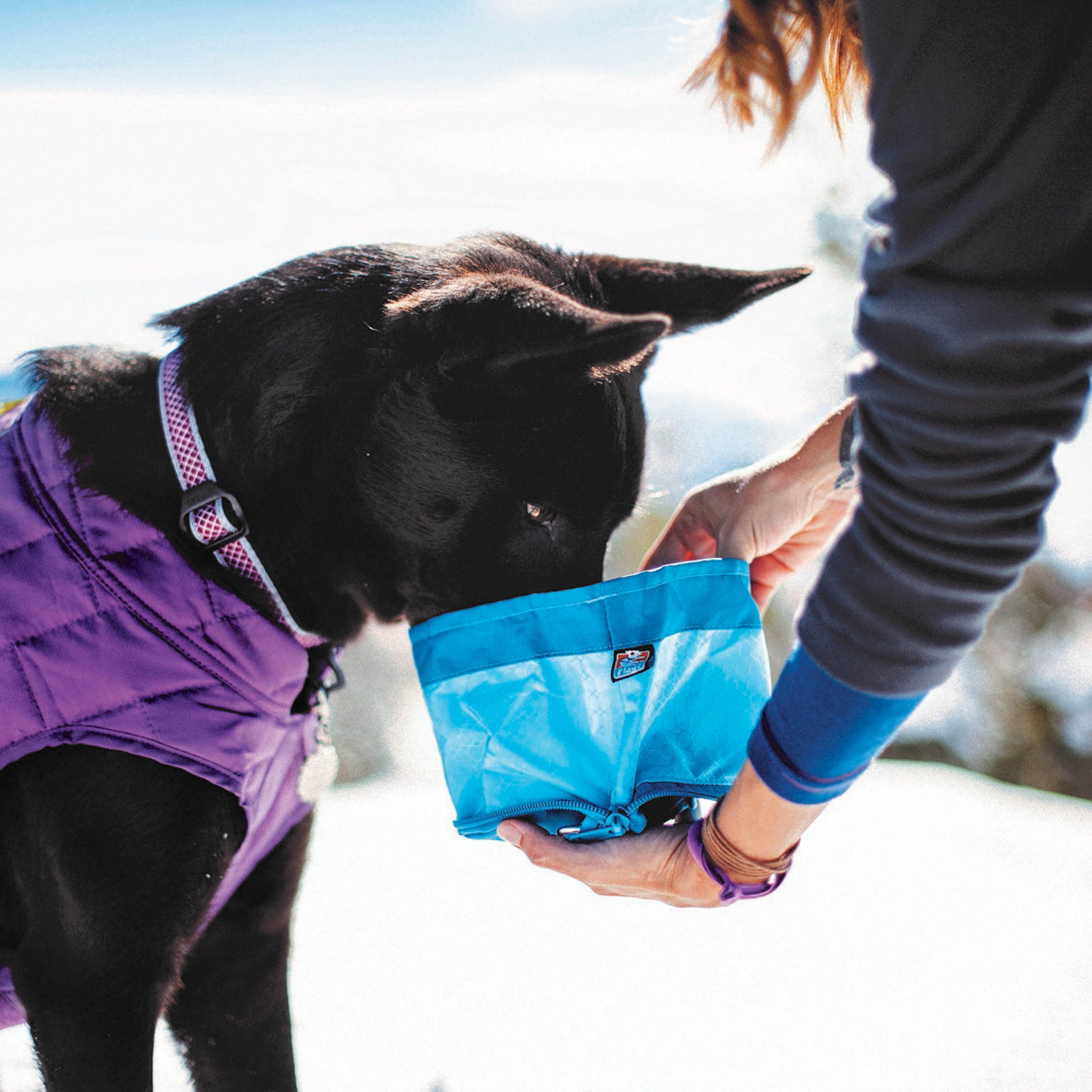 Dog Zippy Bowl