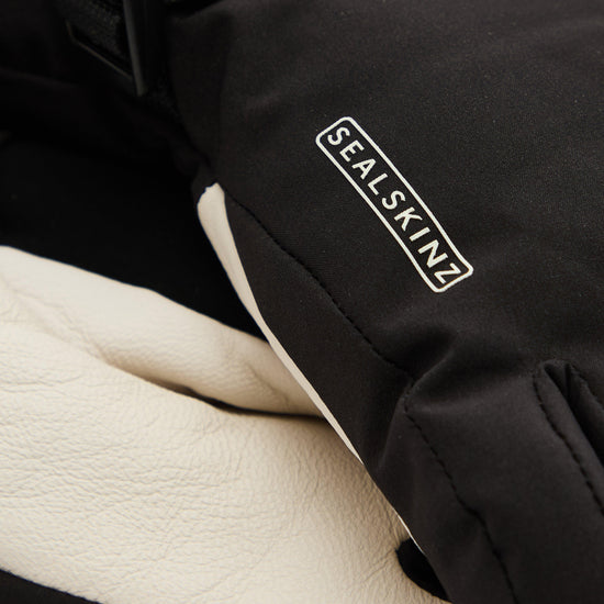 Fransham Waterproof Thermal Ski Gauntlet