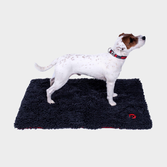 Outdoor Paws Memory Foam Microfibre Pet Mat Medium
