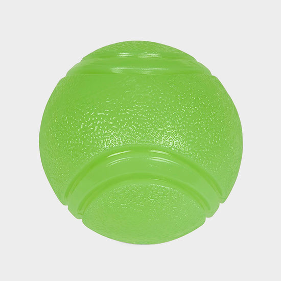 Outdoor Paws Glow In The Dark TPR Ball Dog Toy