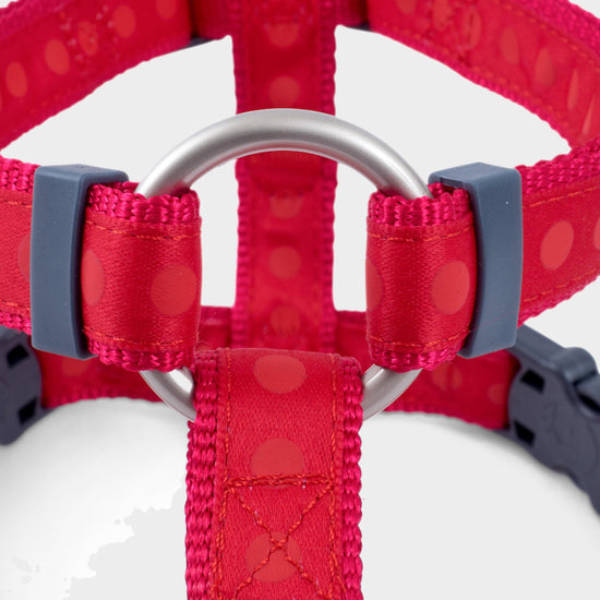 Tonal Dot Harness Large