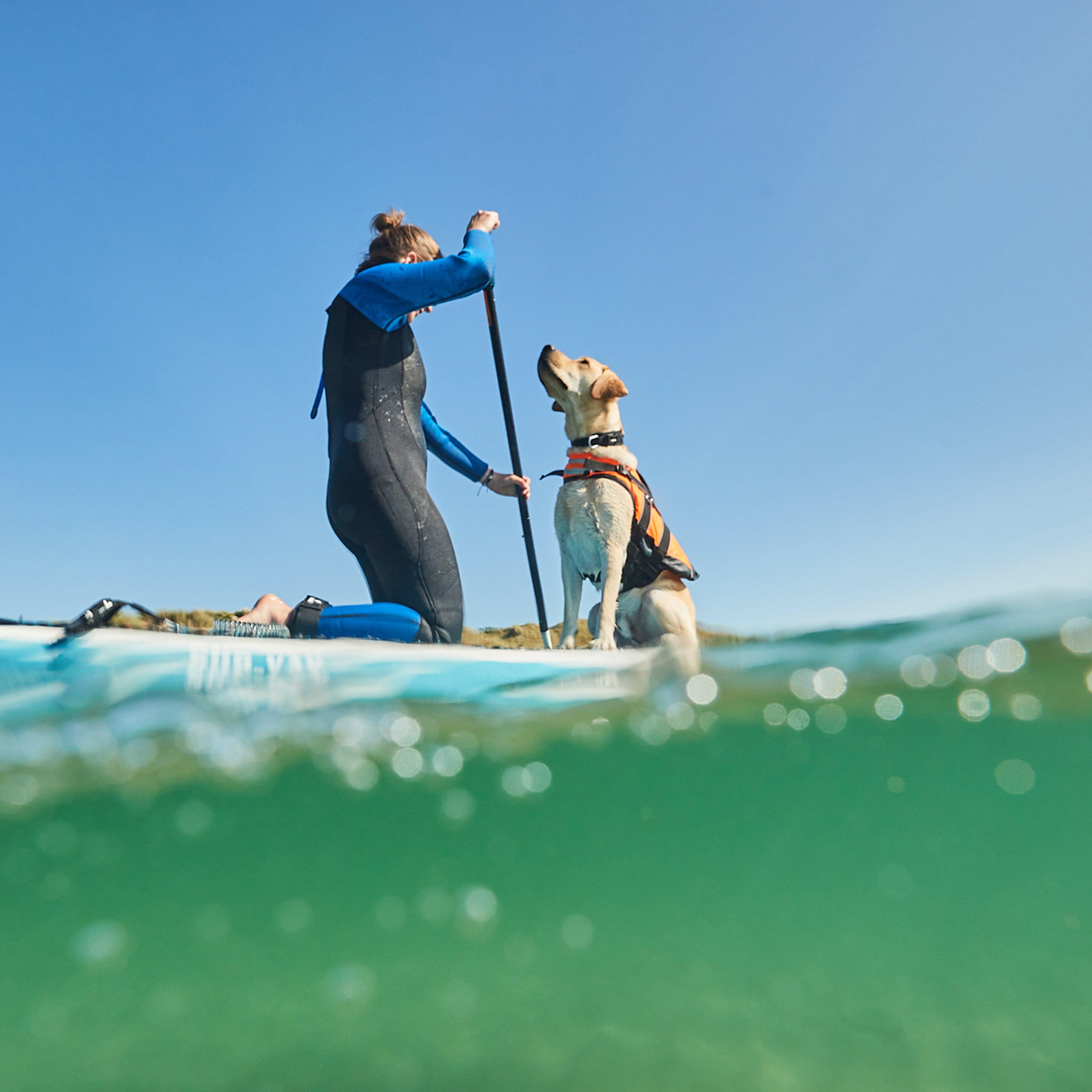 Safe Life Jacket 2.0