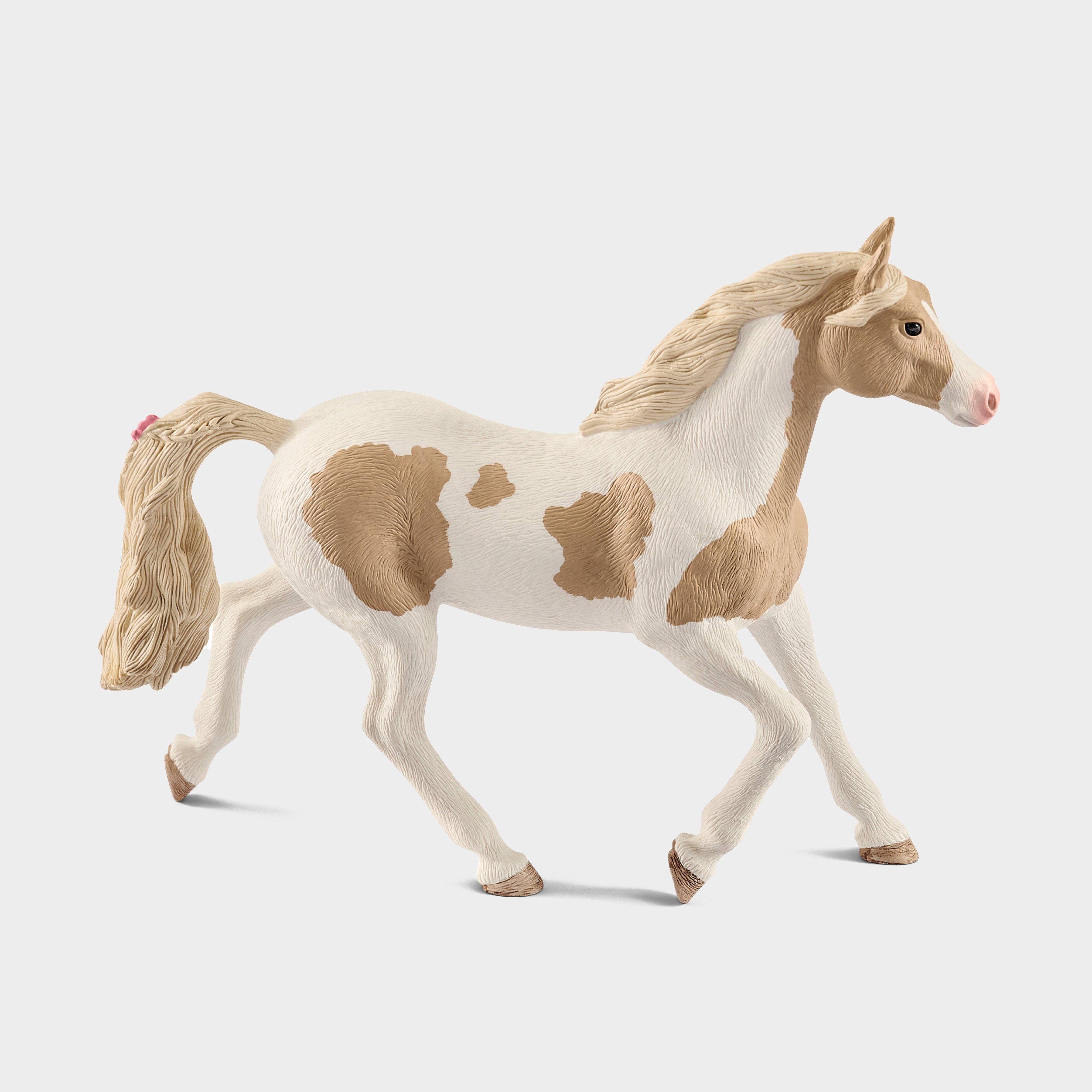 Paint Horse Mare