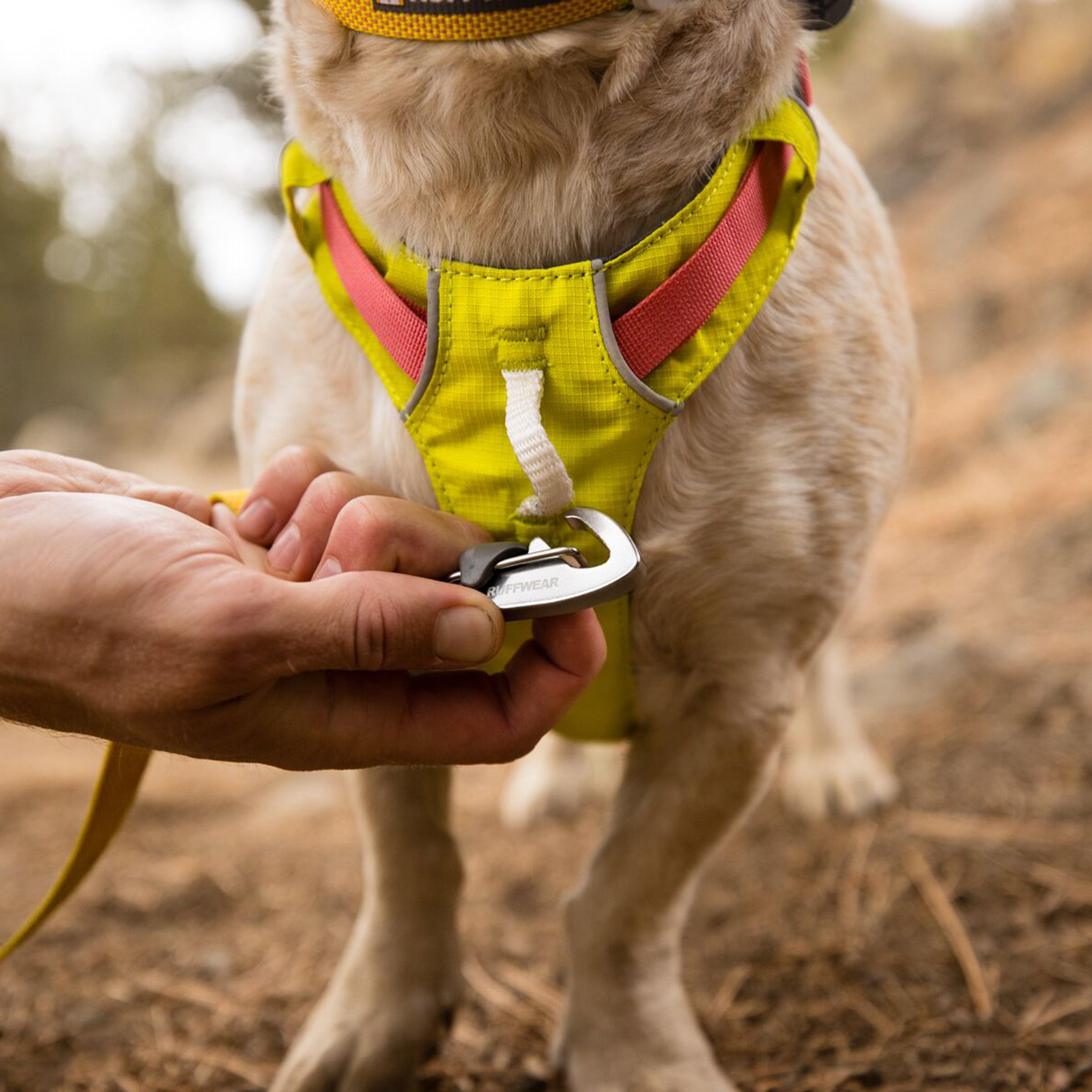 Hi & Light™ Lightweight Dog Harness