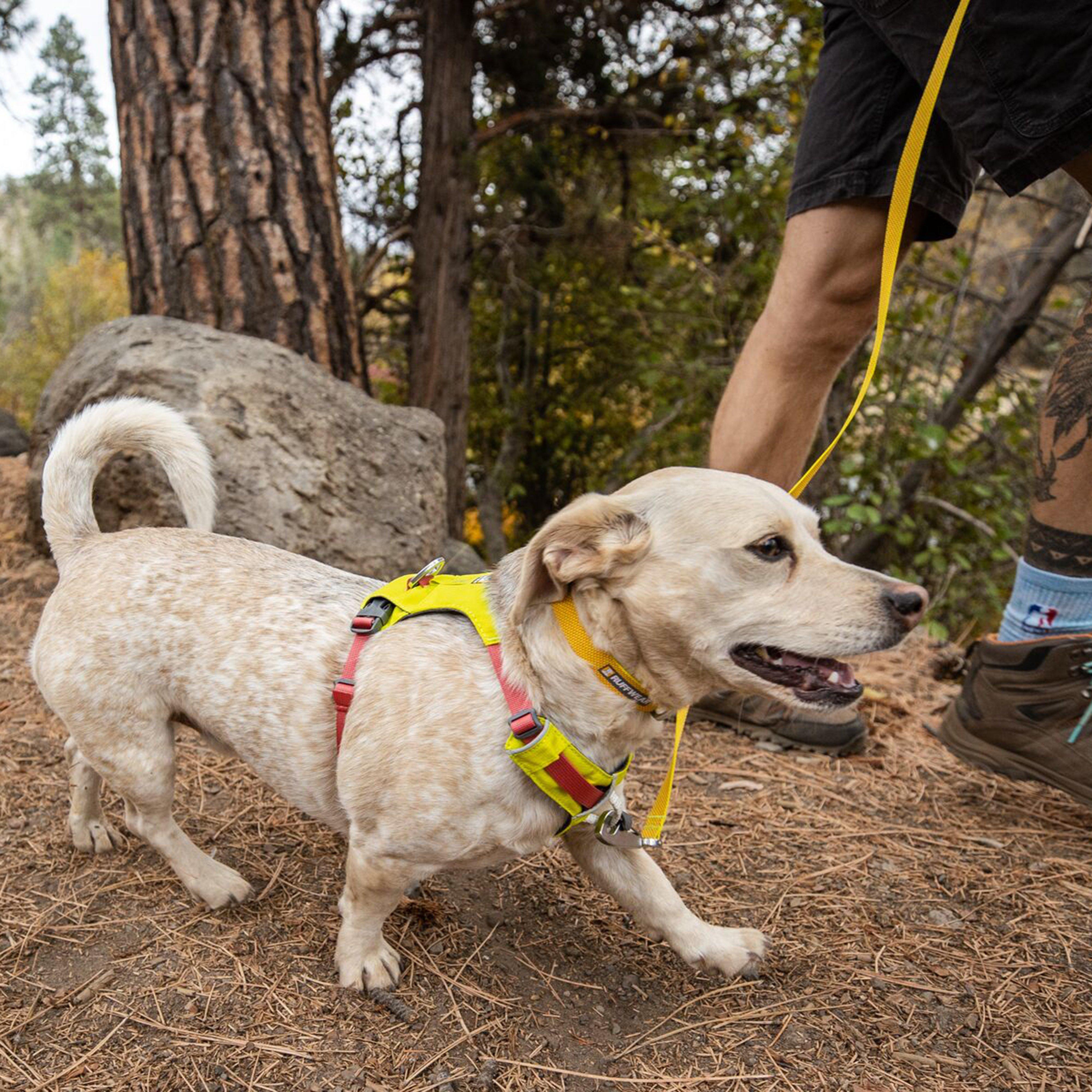 Hi Light Harness Yellow/Red