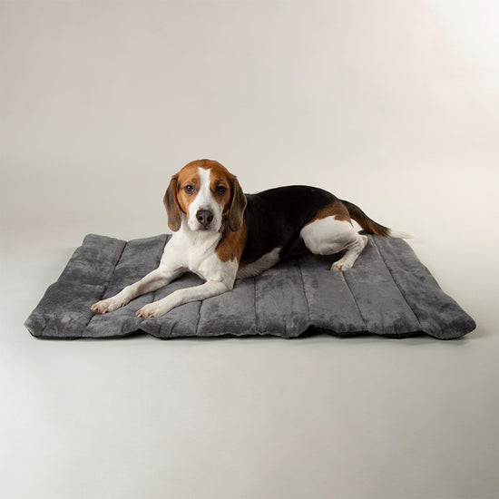 Expedition Roll Up Travel Pet Bed