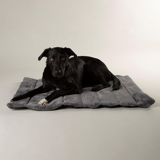 Expedition Roll Up Travel Pet Bed