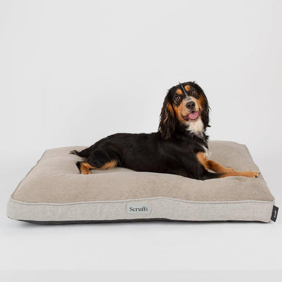 Harvard Memory Foam Mattress L