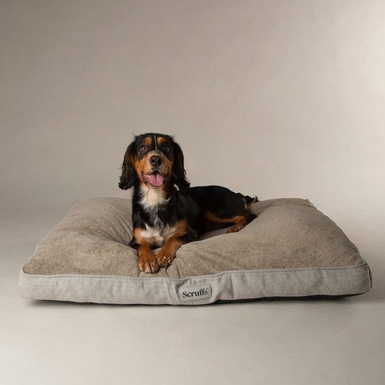 Harvard Memory Foam Mattress L