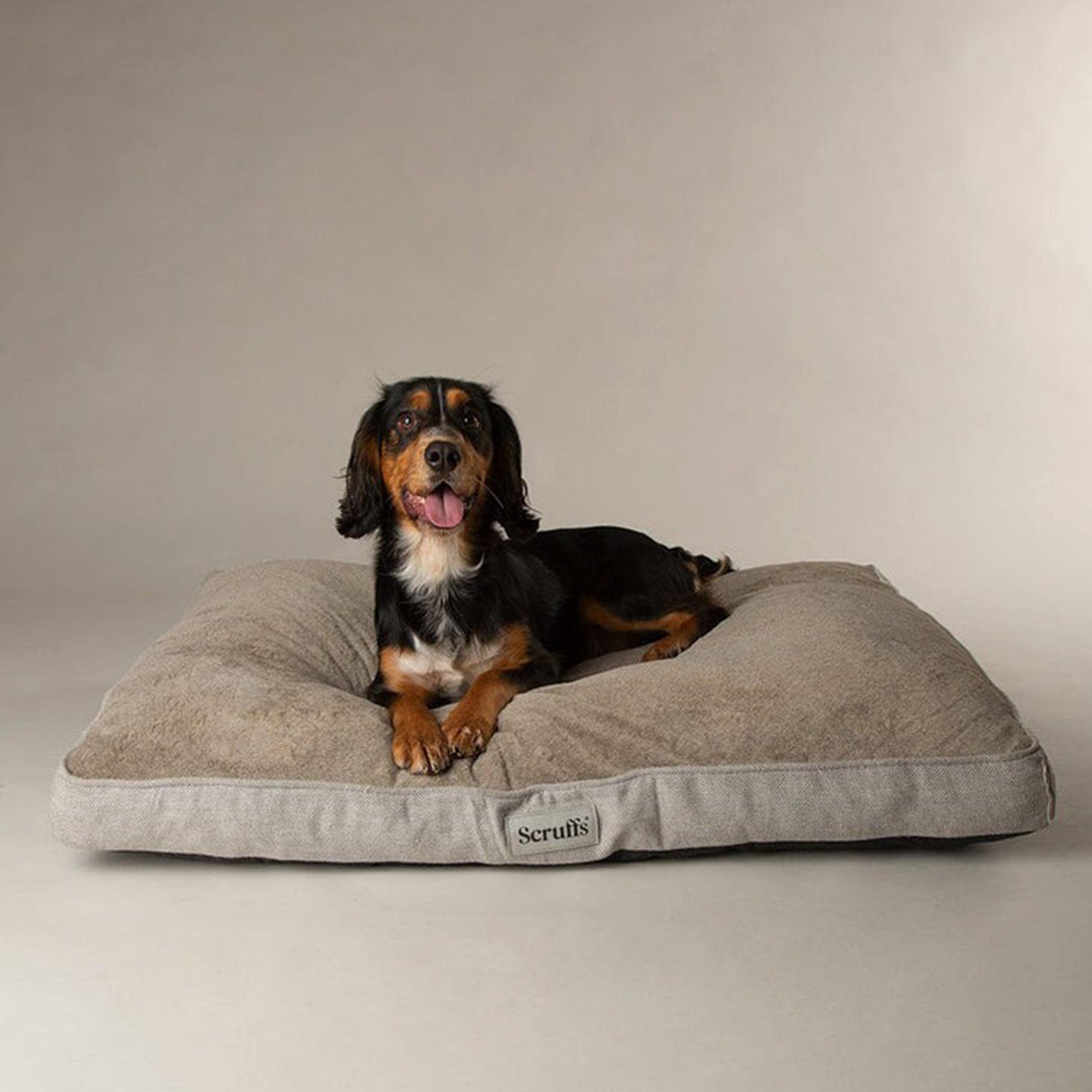 Harvard Memory Foam Mattress L