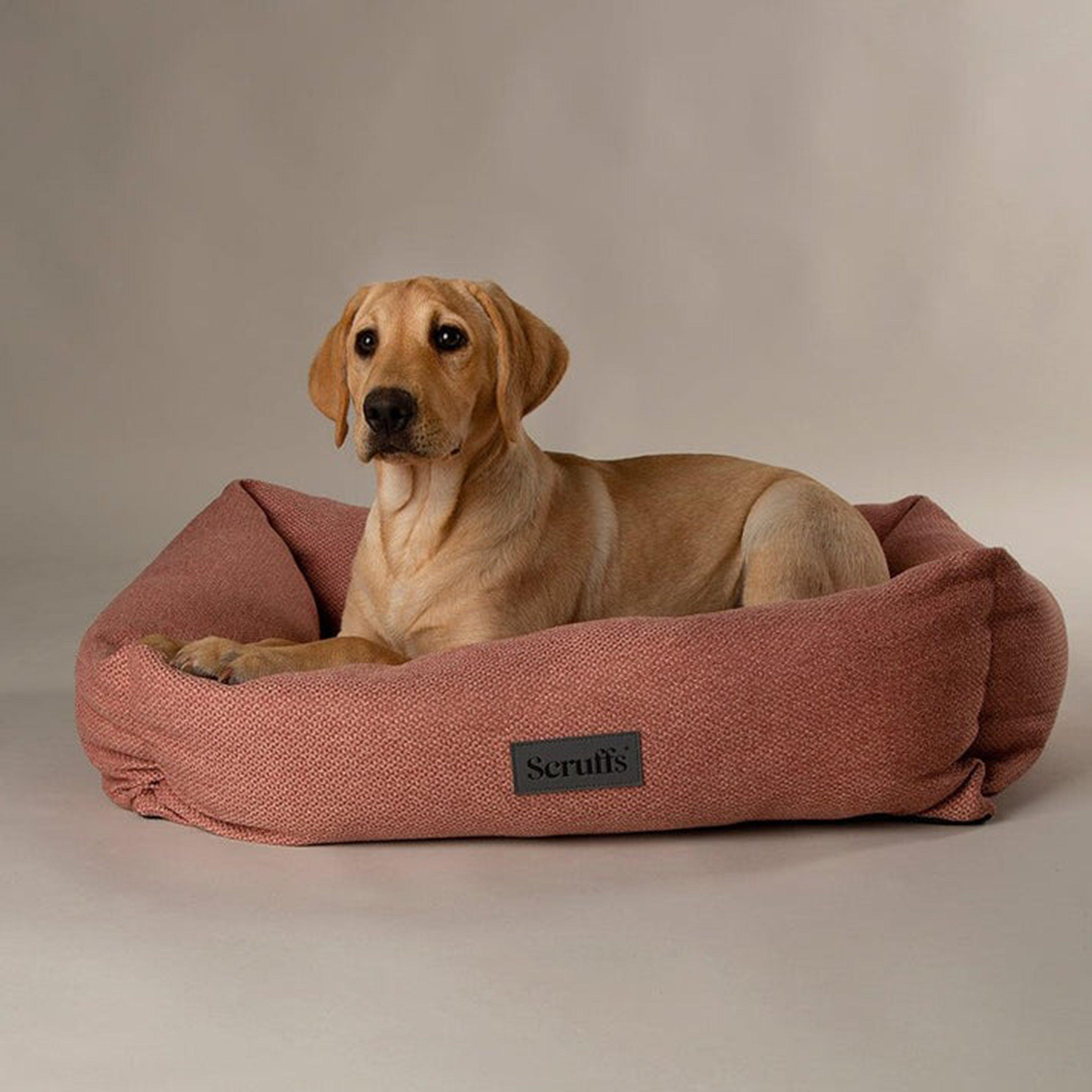 Seattle Box Bed XL