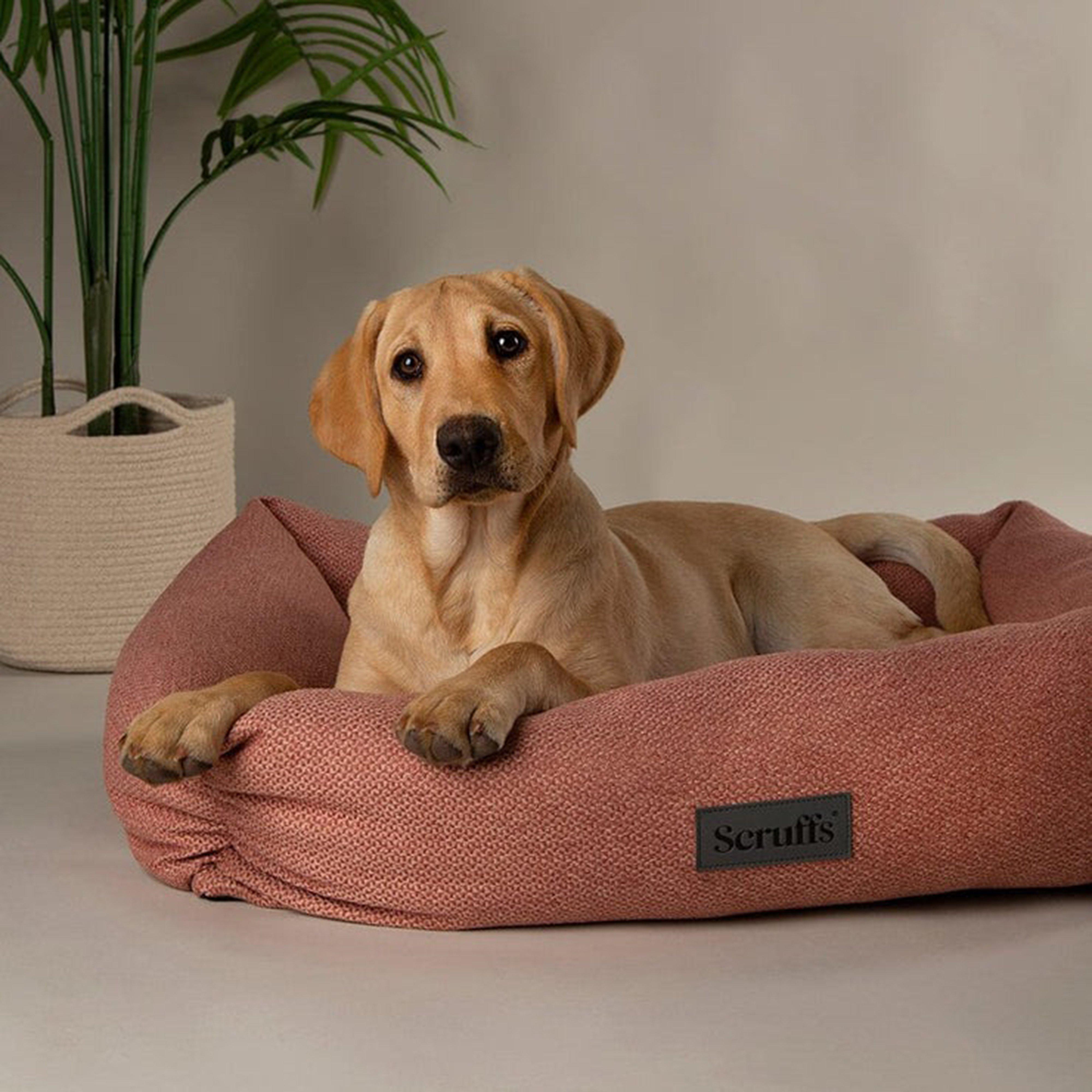 Seattle Box Bed XL