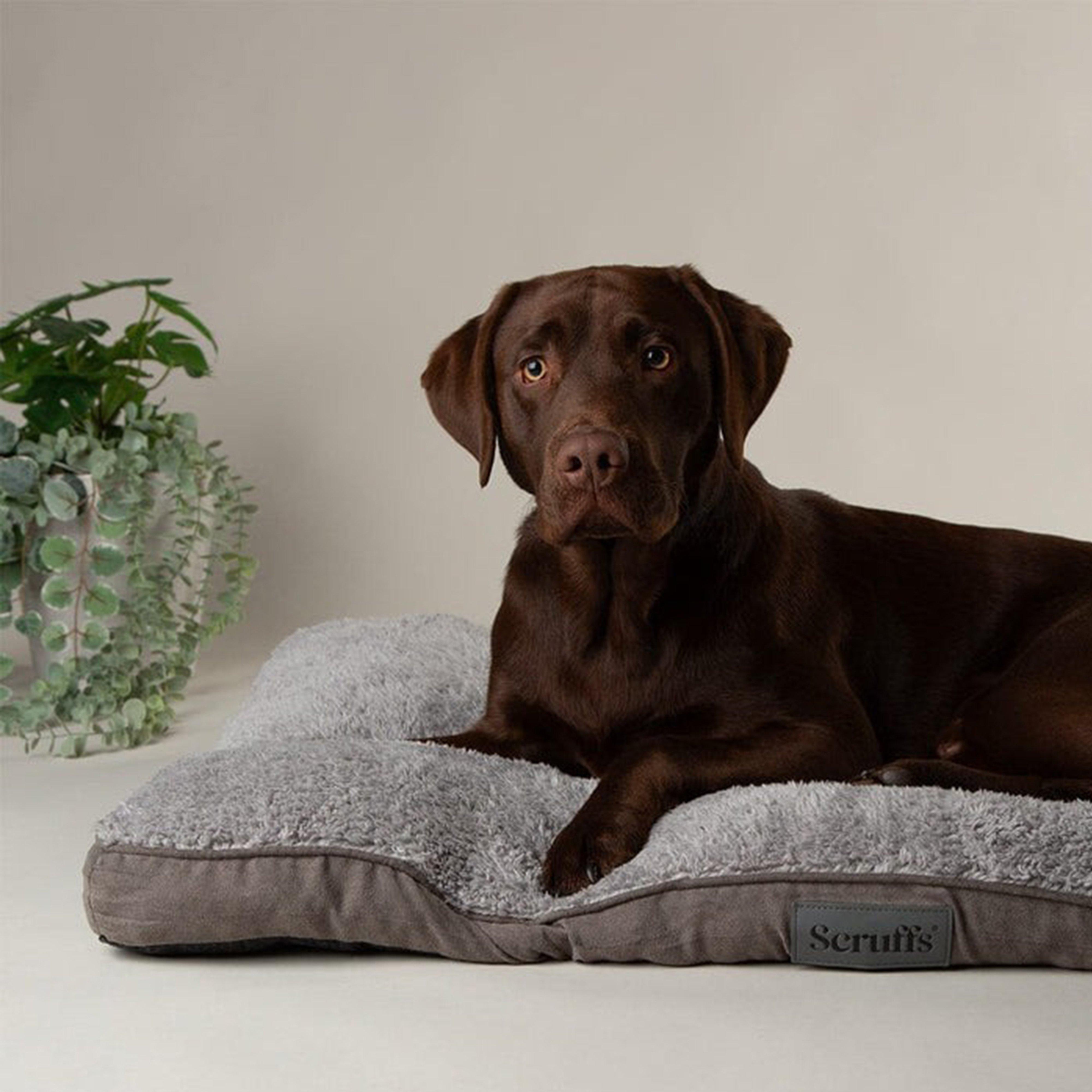 Cosy Mattress M