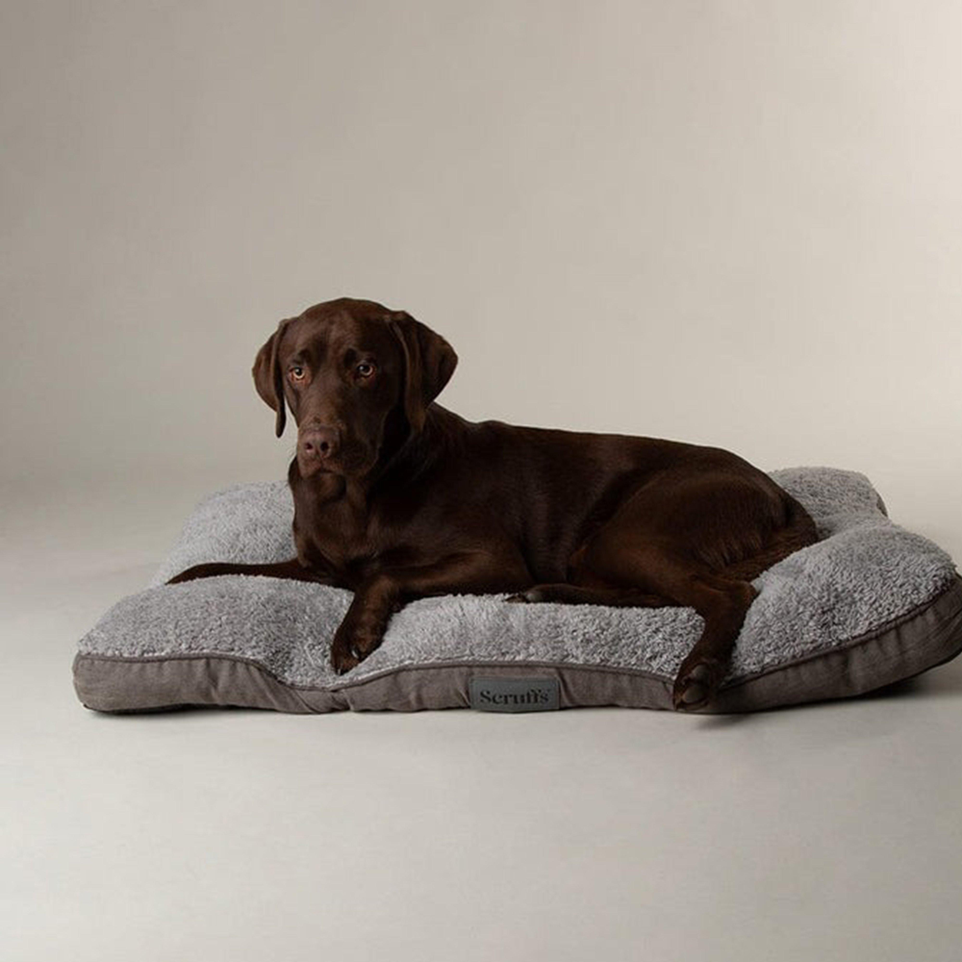Cosy Mattress L