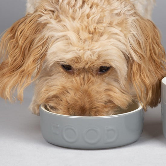 Classic Food Bowl 15cm