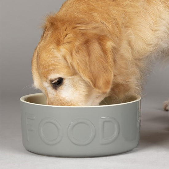 Classic Food Bowl 25cm