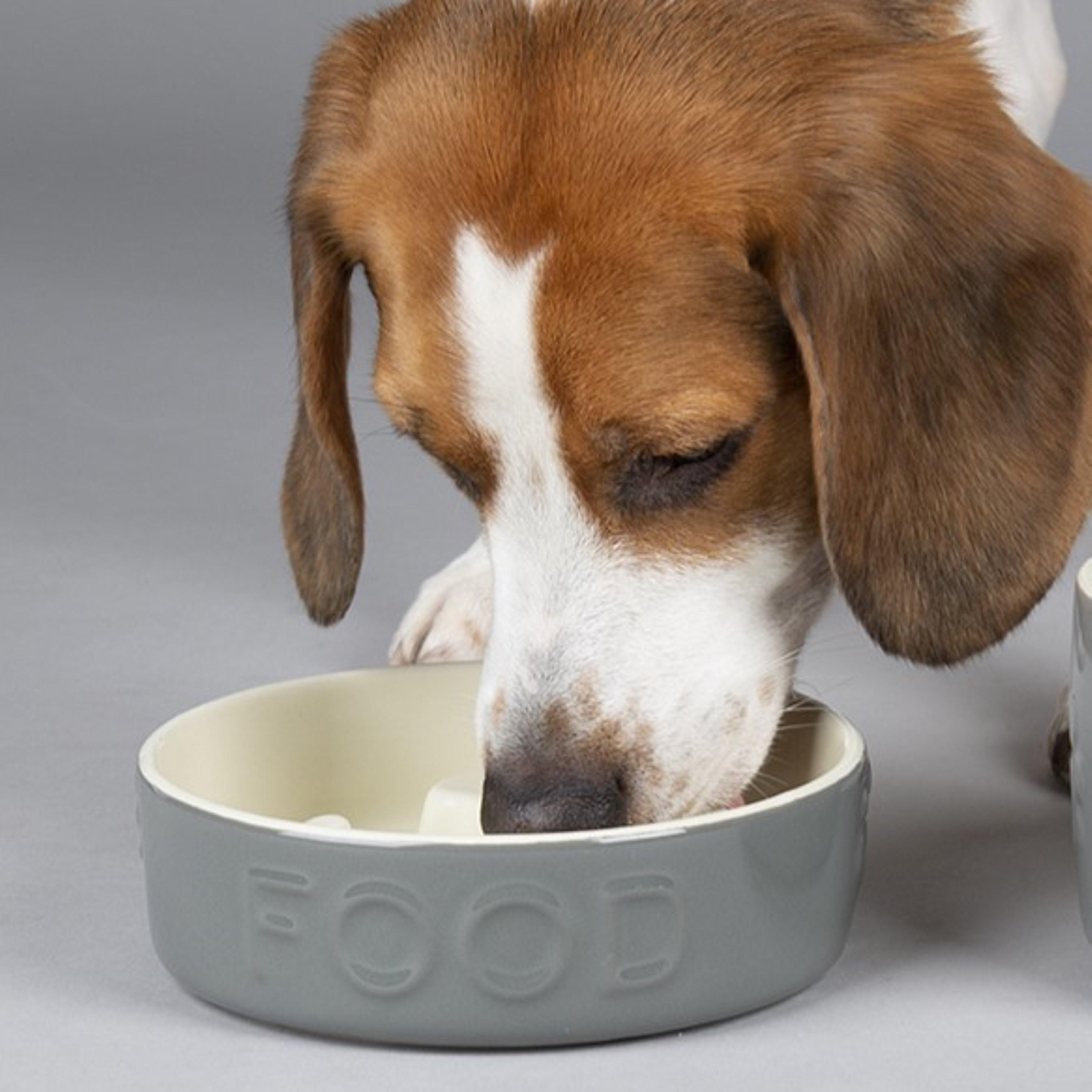 Classic Dog Slow Feeder Bowl 16cm