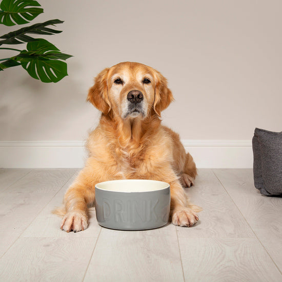 Classic Water Bowl 20cm