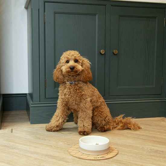 Scandi Non Tip Bowl 14cm