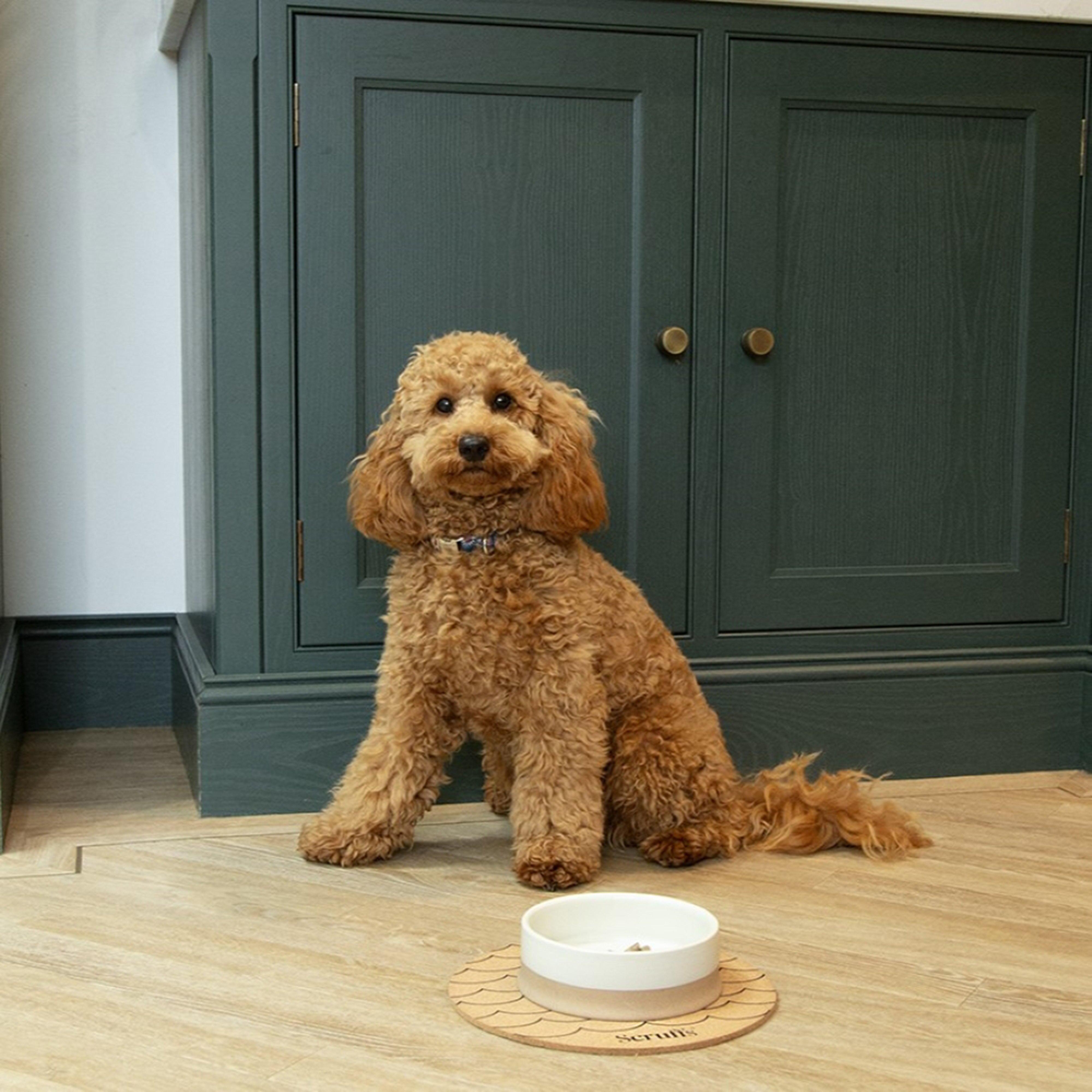 Scandi Non Tip Bowl 14cm