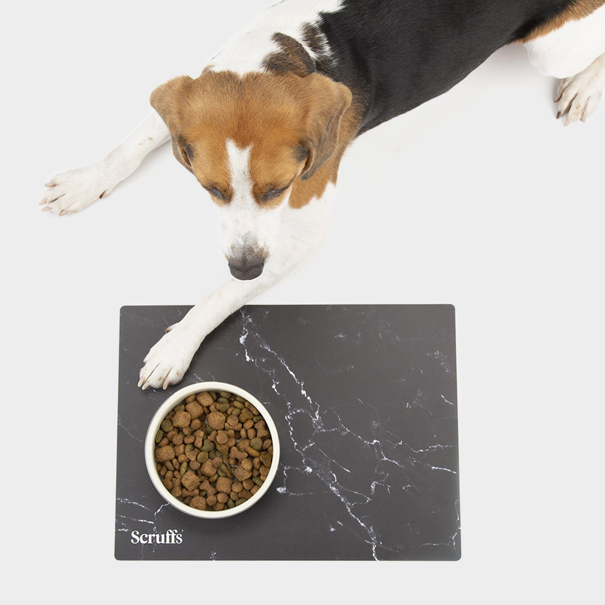 Pet Placemat
