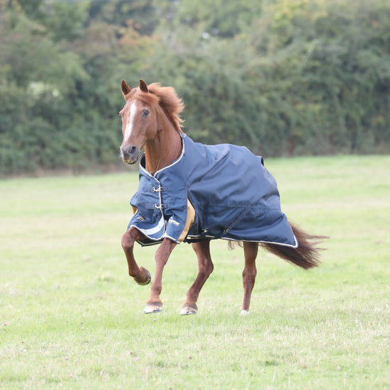 Highlander Plus Lite 0g Standard Neck Turnout Rug