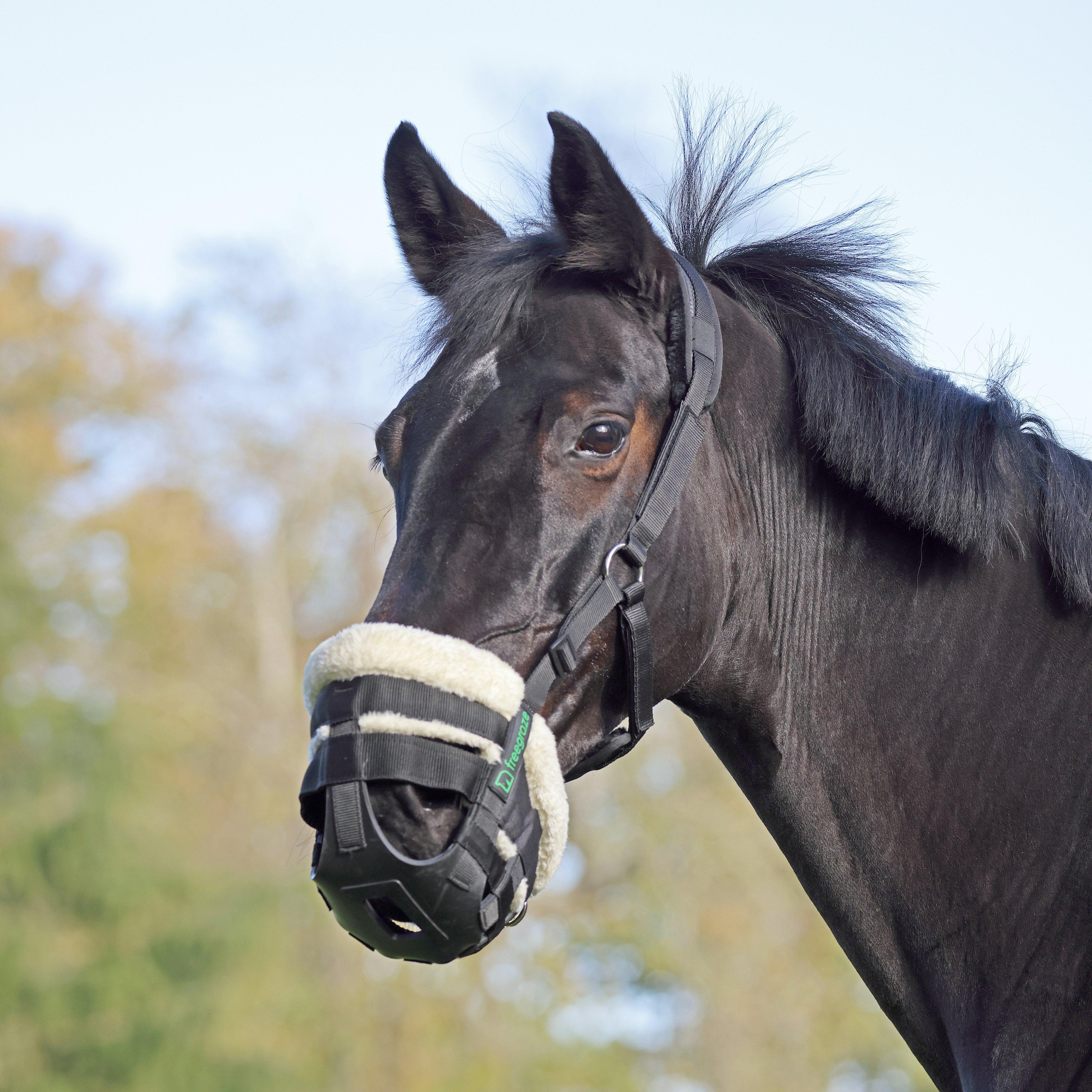Deluxe Comfort Grazing Muzzle