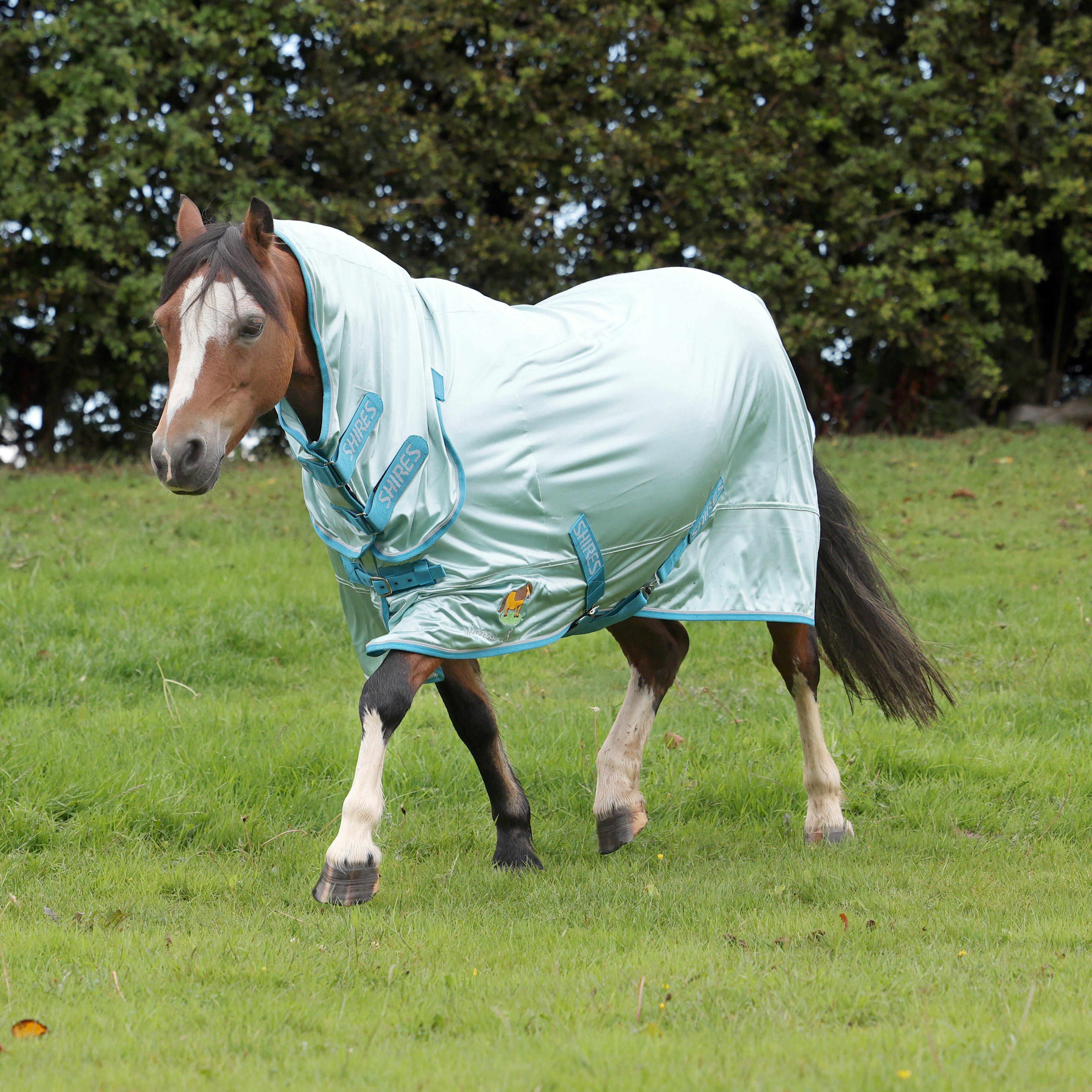 Winnie & Me Fly Combo Rug