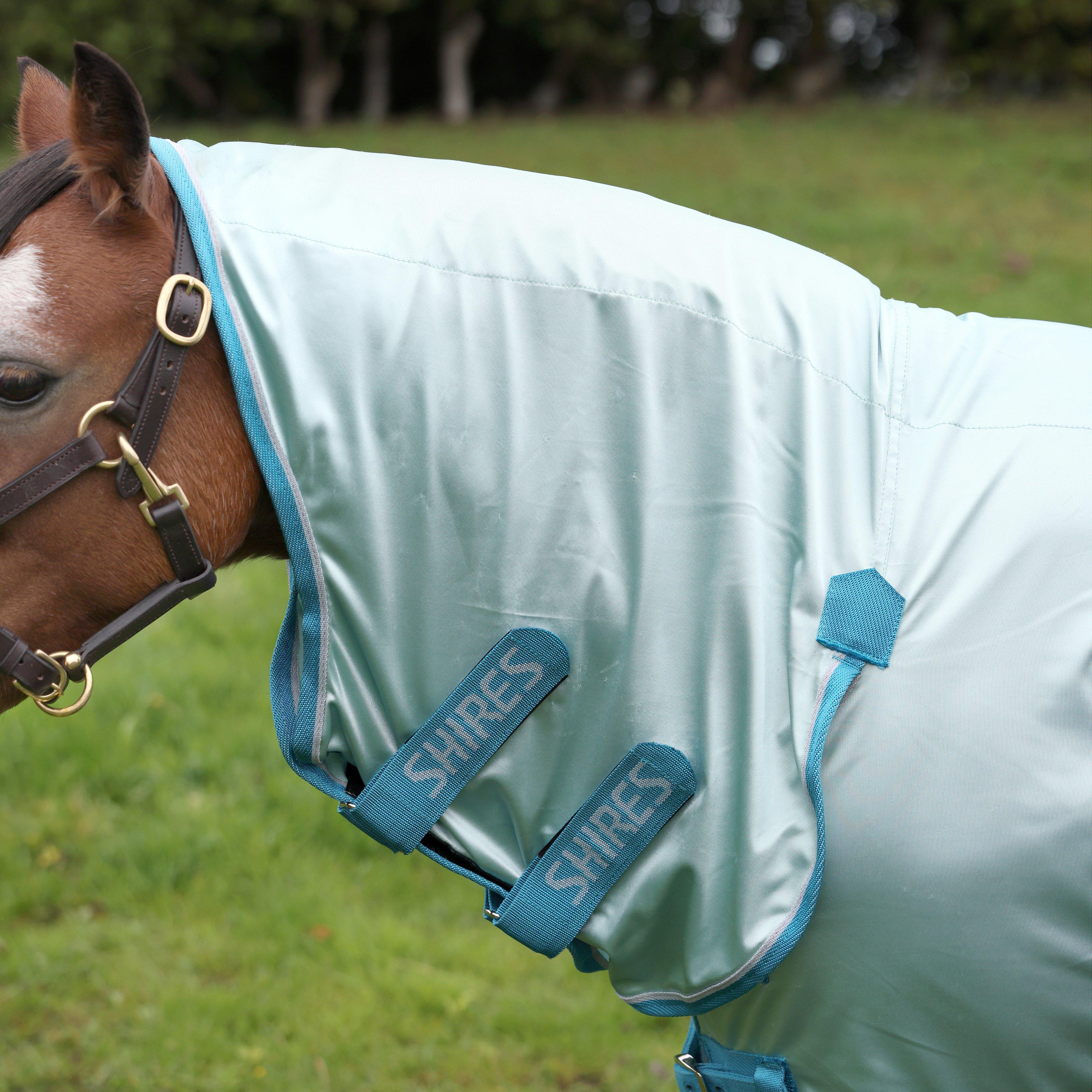 Winnie & Me Fly Combo Rug