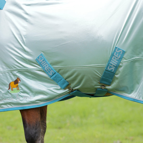 Winnie & Me Fly Combo Rug