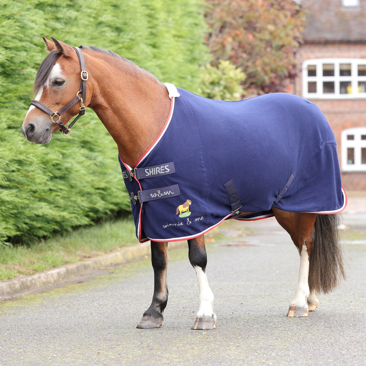 Winnie & Me Fleece Rug