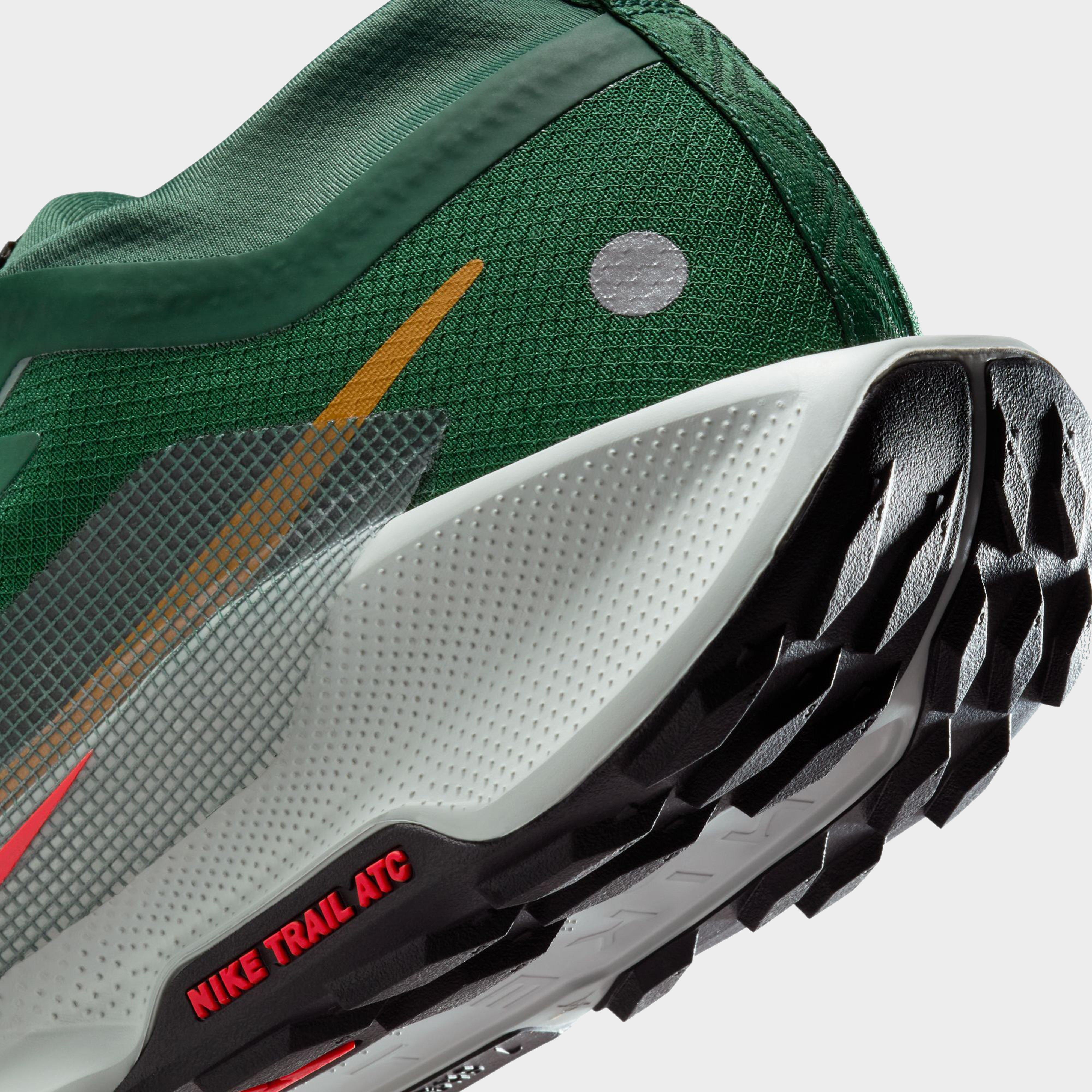 Men’s Pegasus Trail 5 GORE-TEX® Trail Running Shoes