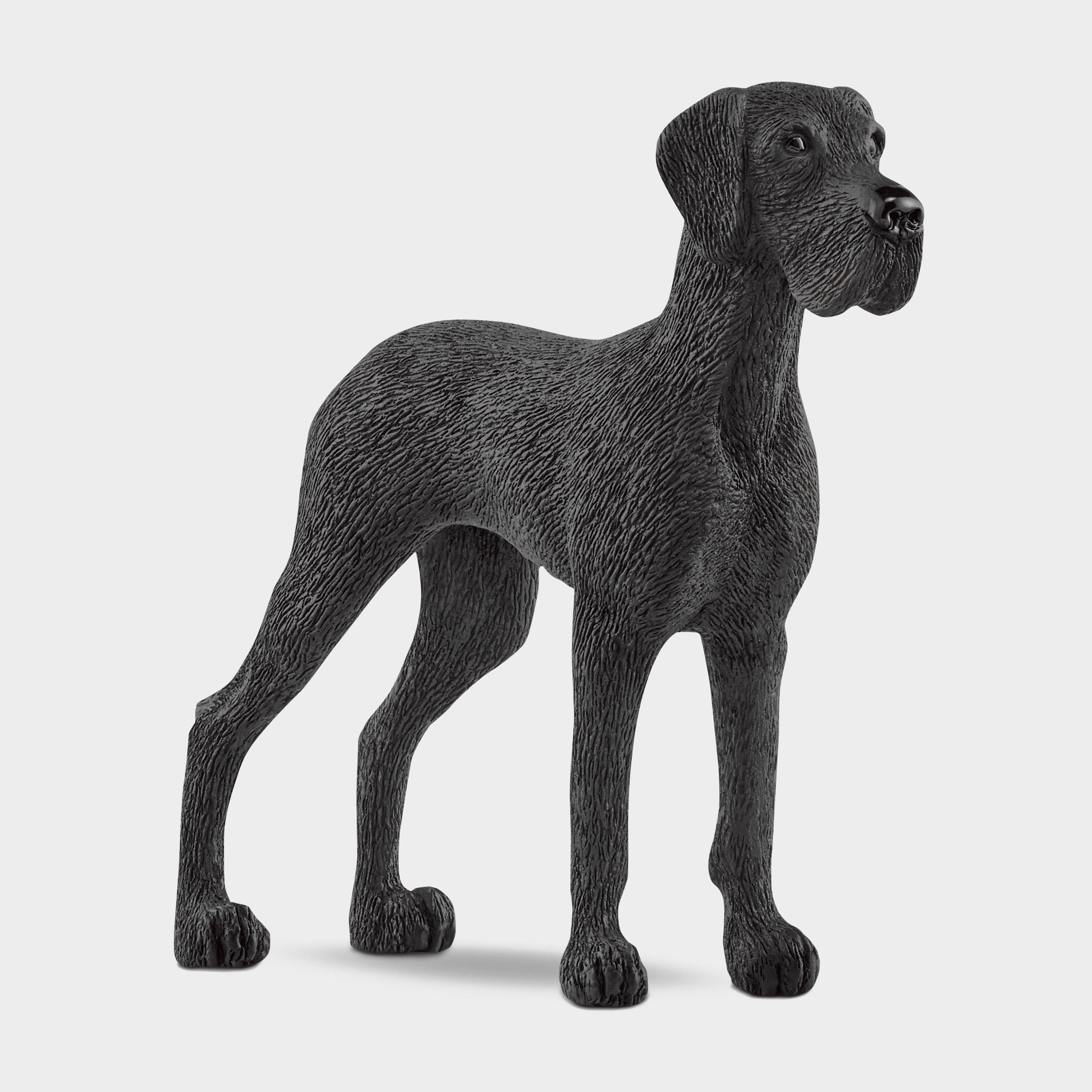 Great Dane