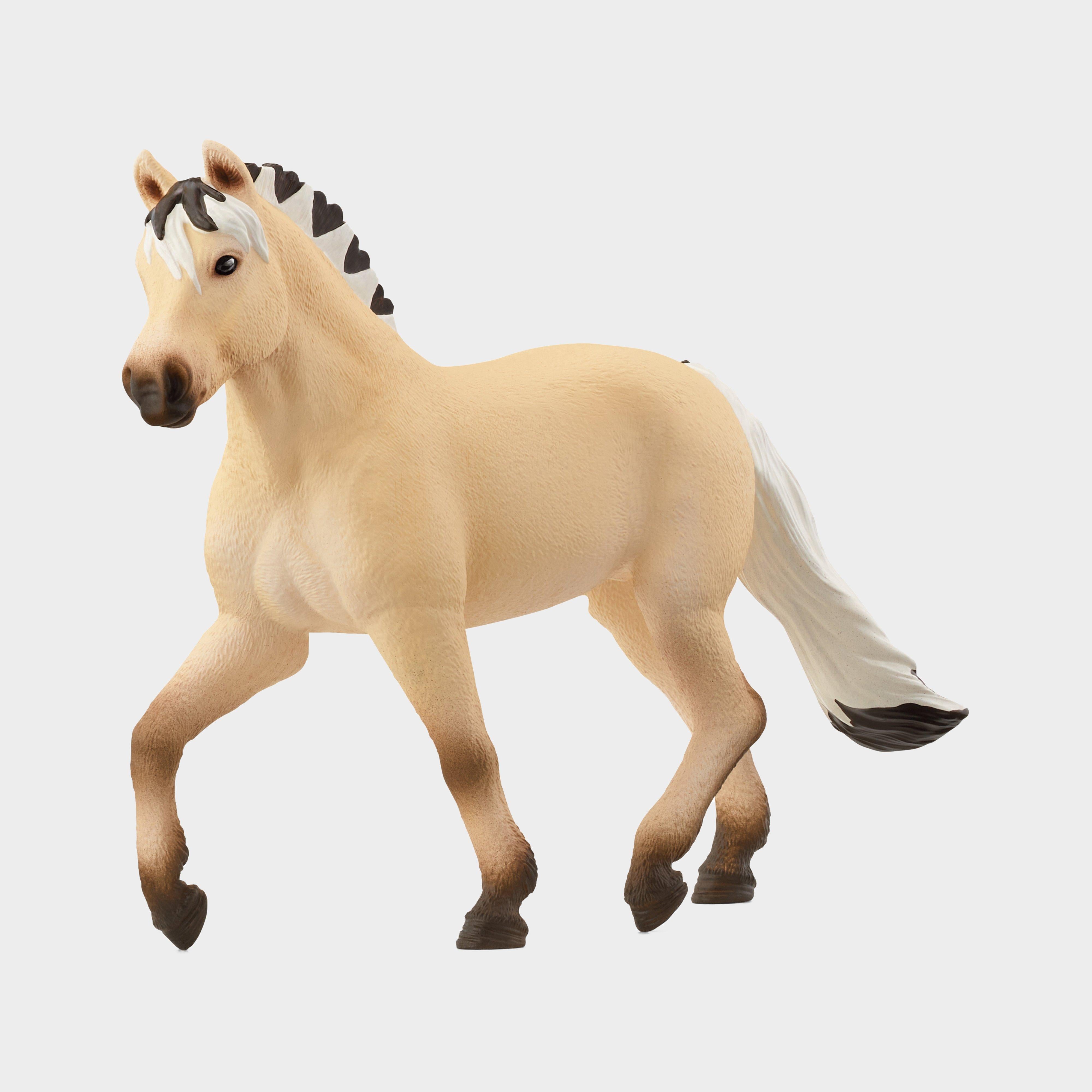 Norwegian Fjord Horse Mare