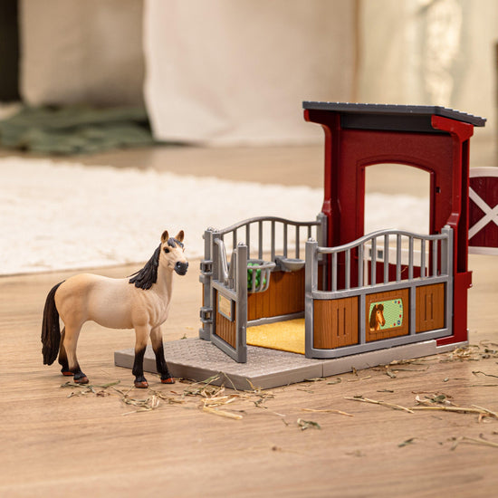 Pony Box with Mustang Mare