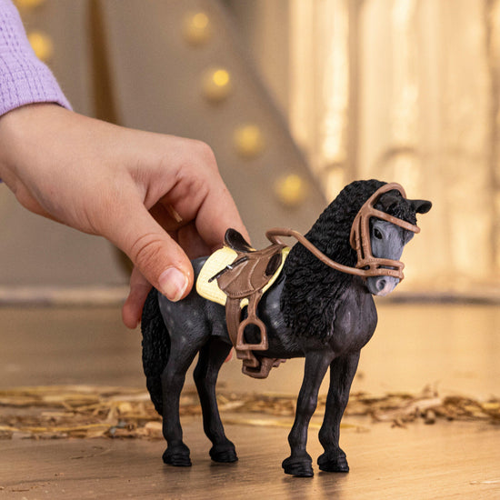 Pura Raza Española Mare with Saddle & Bridle