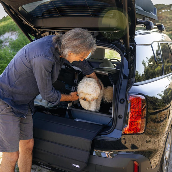 Allax Threshold Compatible Dog Car Crate S