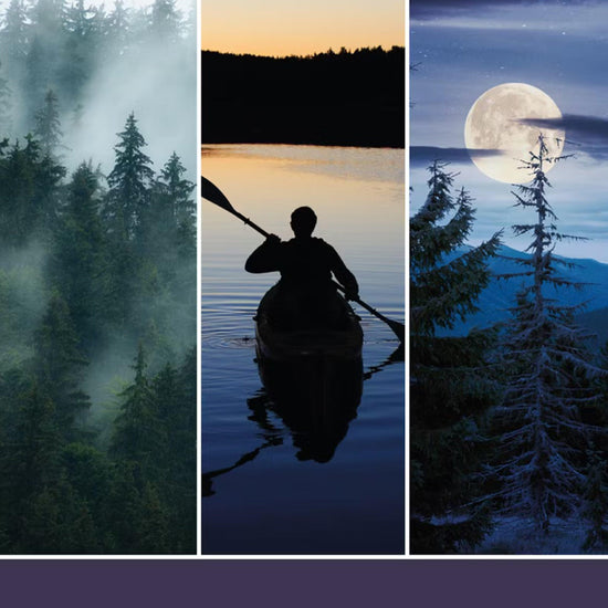 Car Jar® Ultimate Midsummer's Night