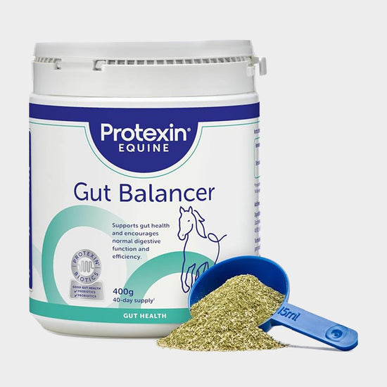 Gut Balancer 400g