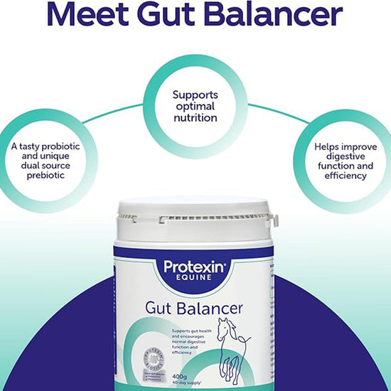 Gut Balancer 400g