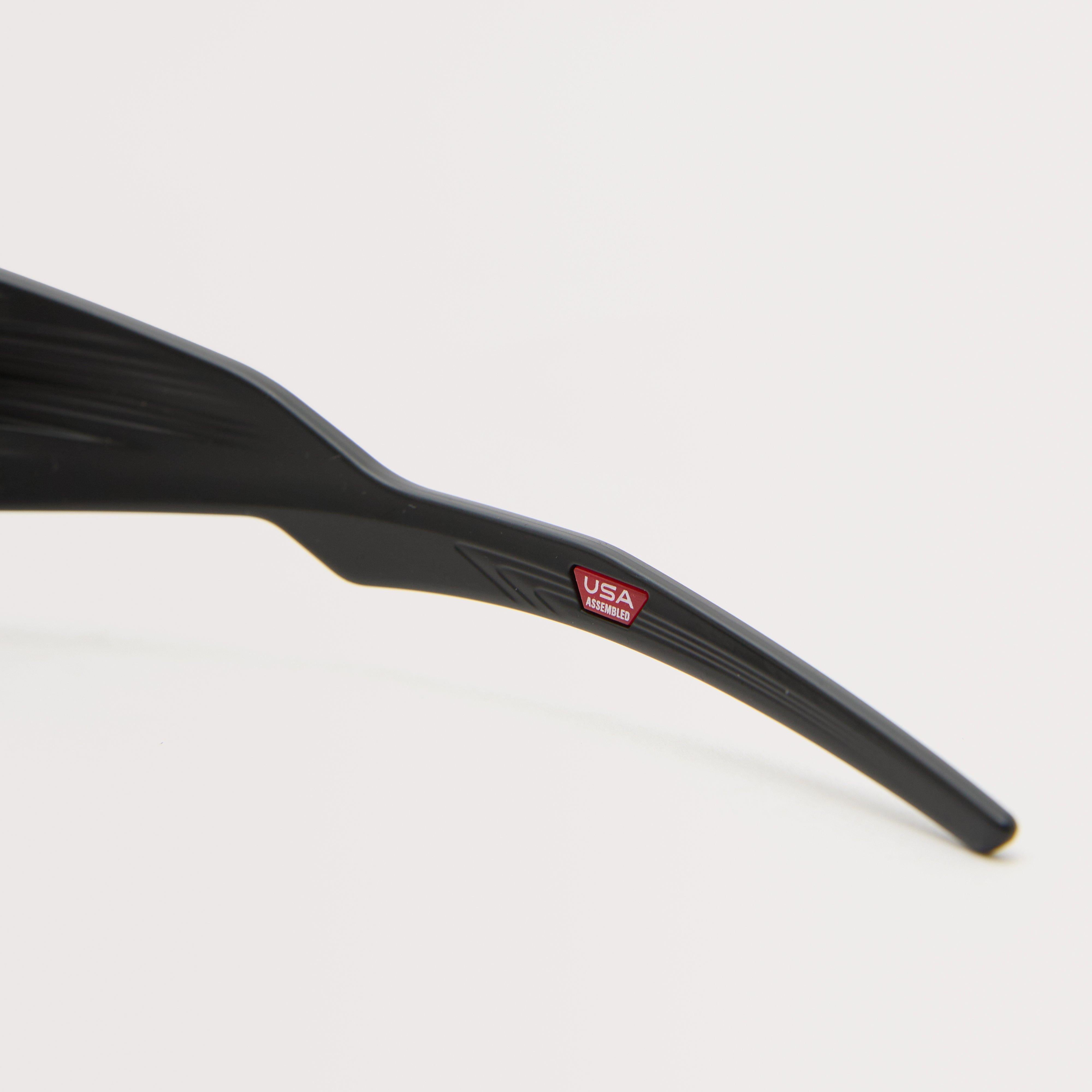 Masseter Sunglasses