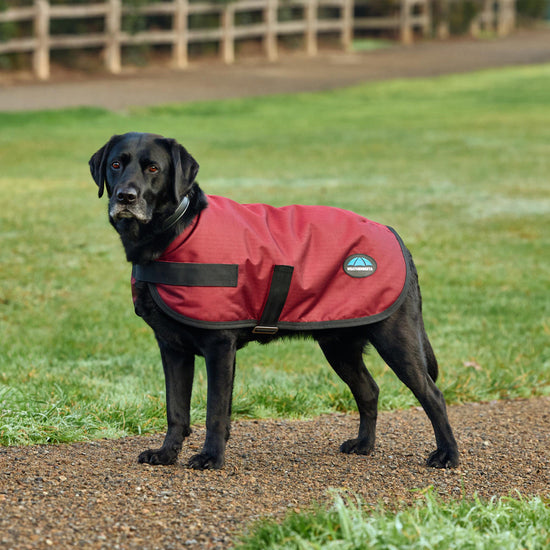 ComFiTec Classic Waterproof Dog Coat