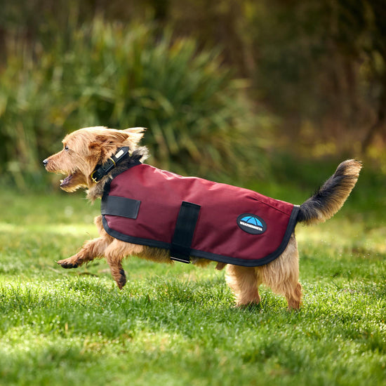 ComFiTec Classic Waterproof Dog Coat