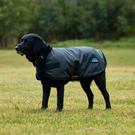 ComFiTec Classic Waterproof Dog Coat