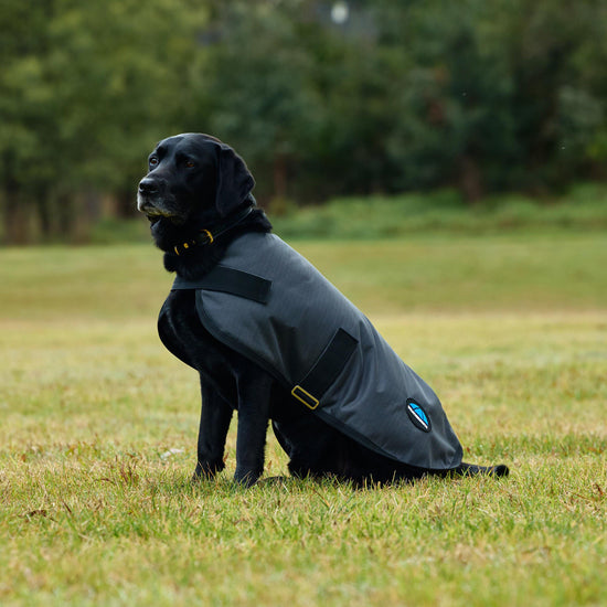 ComFiTec Classic Waterproof Dog Coat